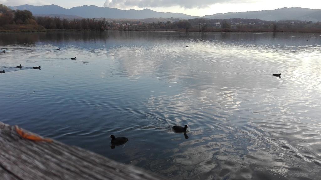 La Casa Sul Lago Posta Fibreno Bagian luar foto